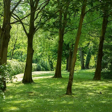 Residenza Bellaria Park 